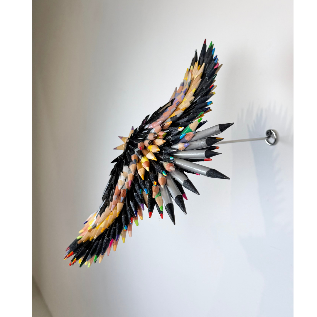 Federico Uribe, Black Flying Bird 2.png