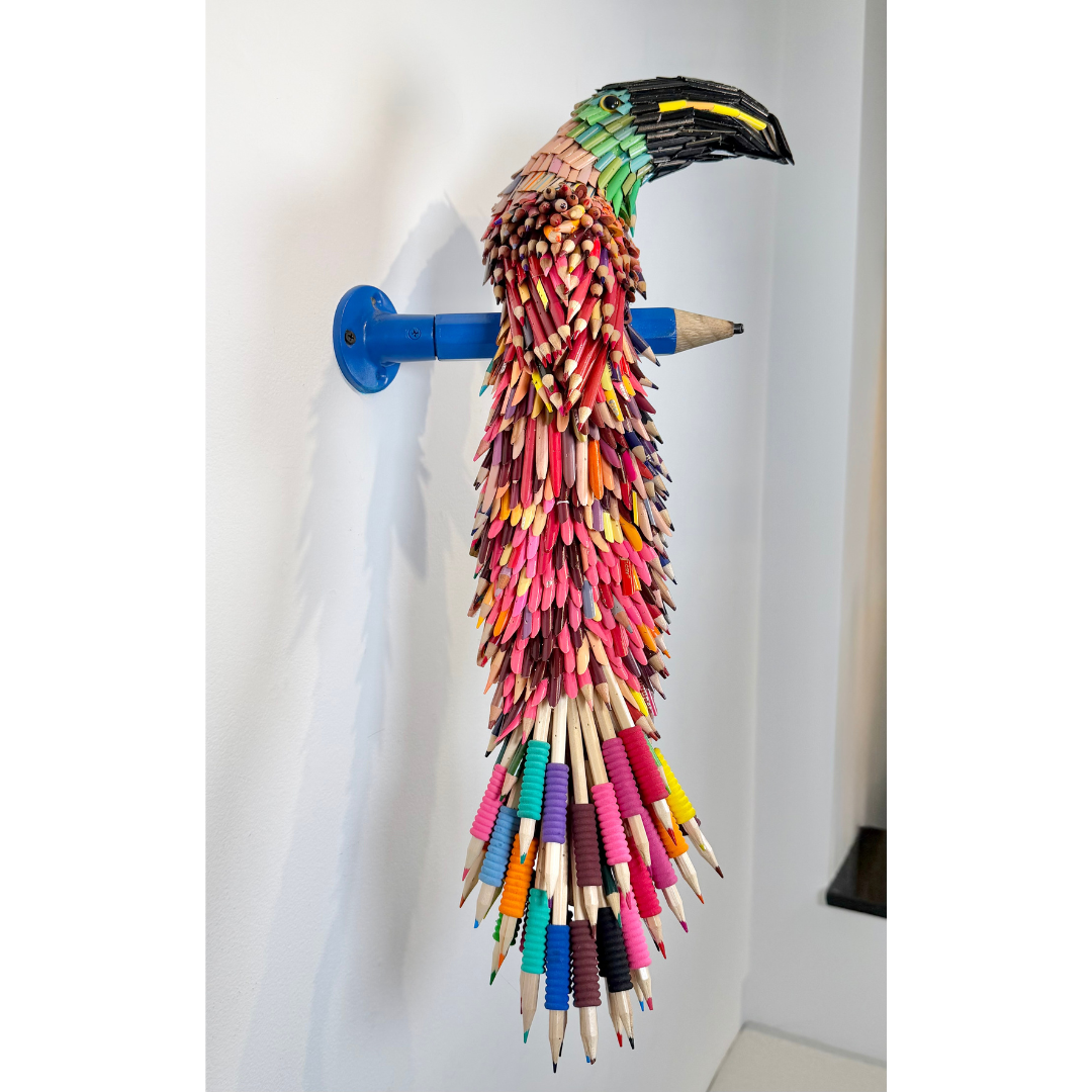 Federico Uribe, Pencil Toucan 4.png