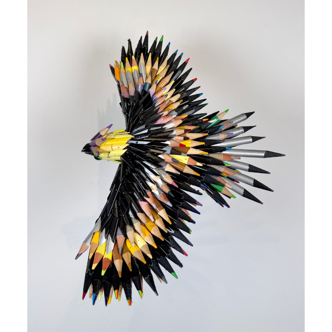 Federico Uribe, Black Flying Bird.png