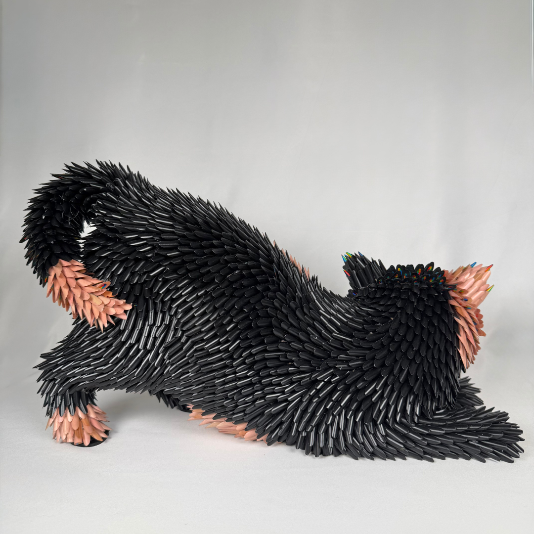 Federico Uribe, Playful Cat 4.png