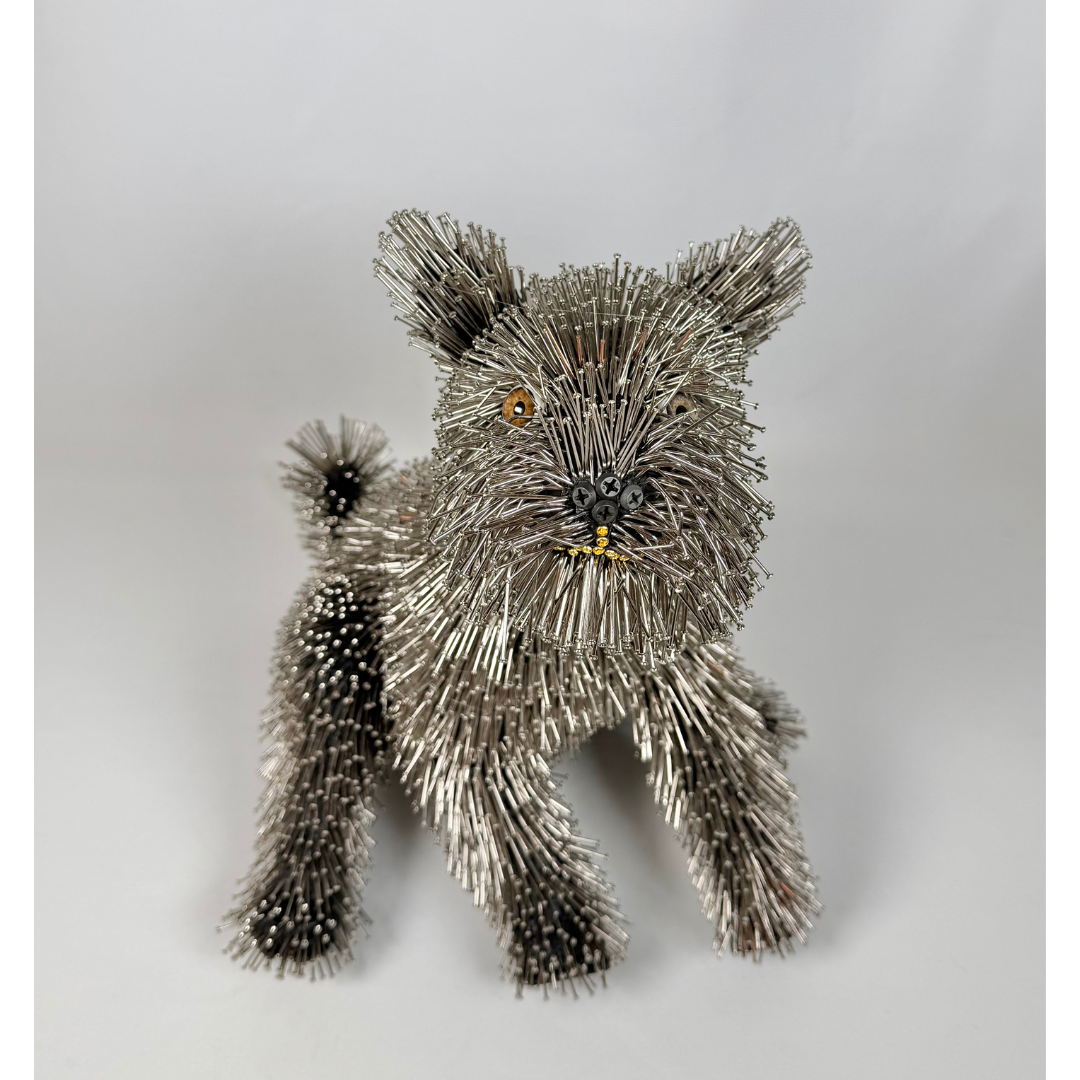 Federico Uribe, Terrier 10.png