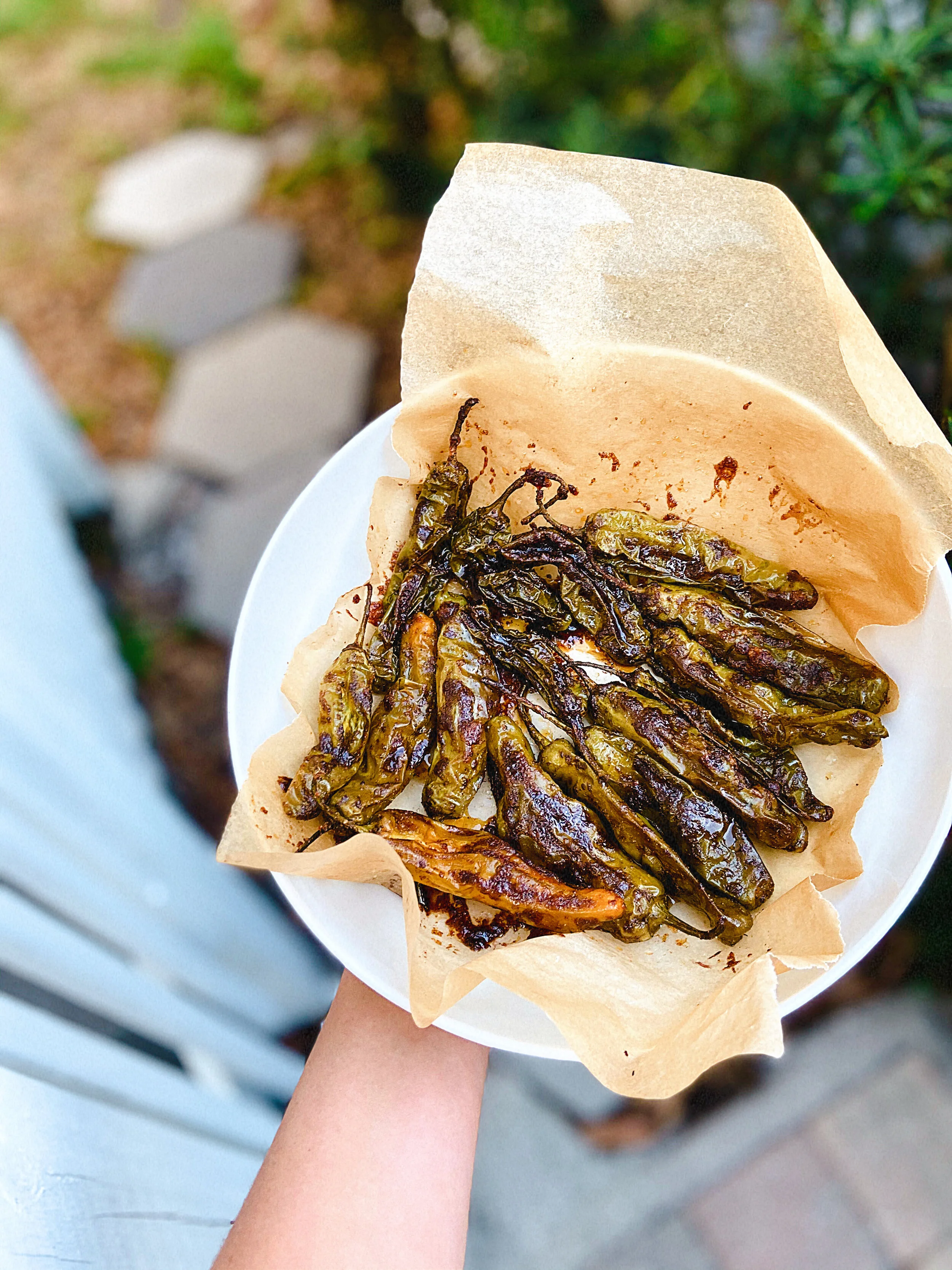 blistered shishito peppers