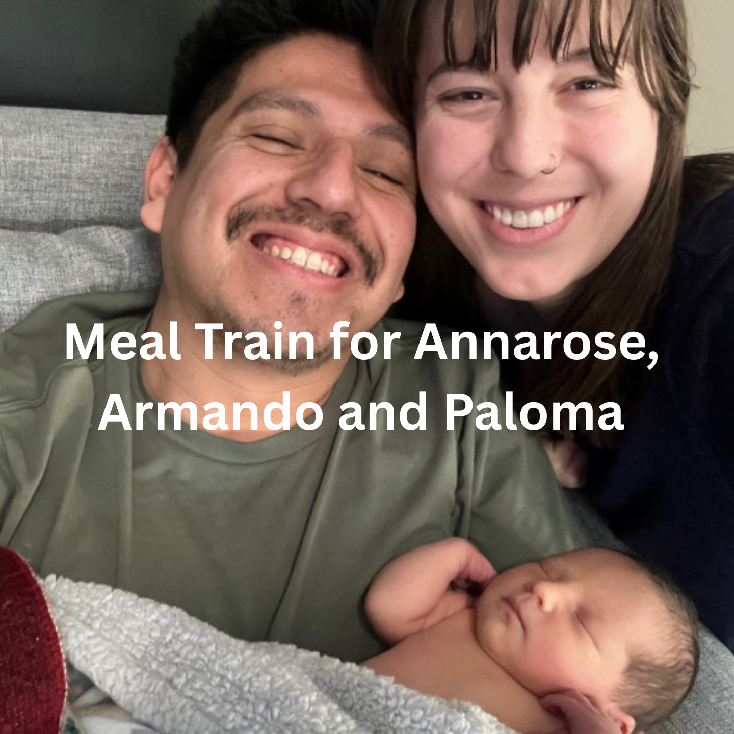 Meal Train for Annarose and Armando