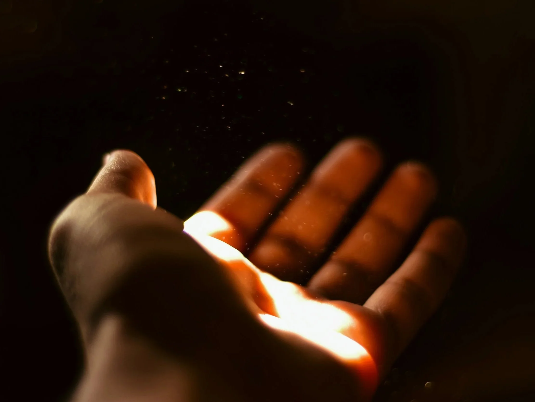 Mercy, Not Sacrifice