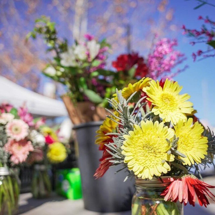 Local produce ✔️ 
Spring flowers ✔️ 
Handmade gifts ✔️ 

Stop by the @hmfarmersmarket on May 14th and 28th to grab all the items on your shopping list in one place. It's a win-win!

📸 @craniumpictures