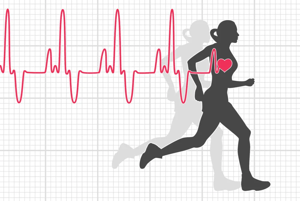 Understanding Your Heart Rate