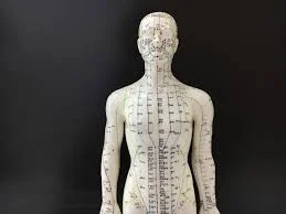 Top 10 Acupressure Points For Fertility