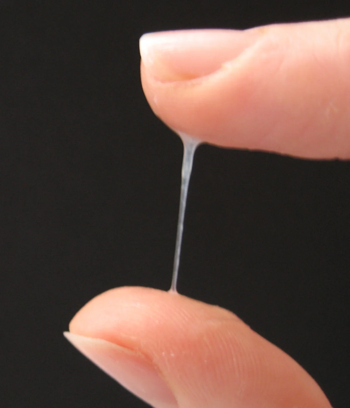 The Fertility & Cervical Fluid Connection