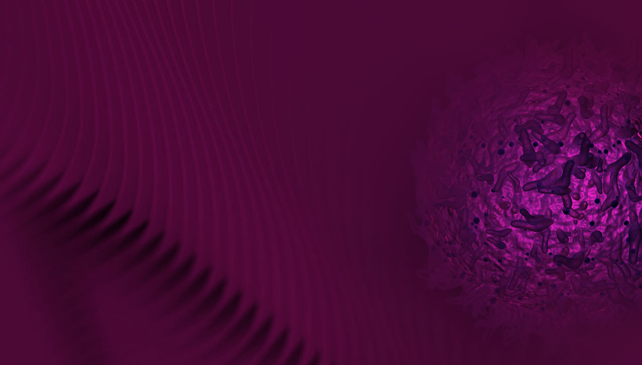 trip-neg-banner.jpg