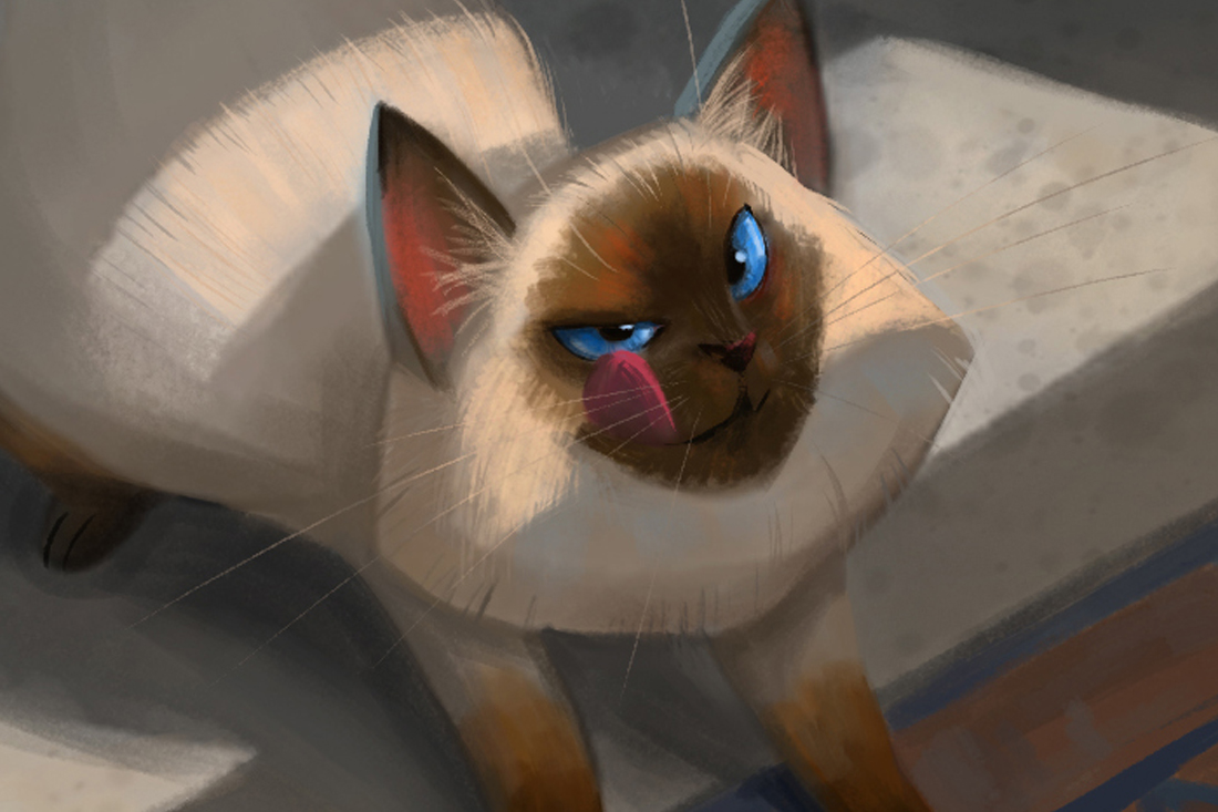 IllustrationProcess_03.jpg