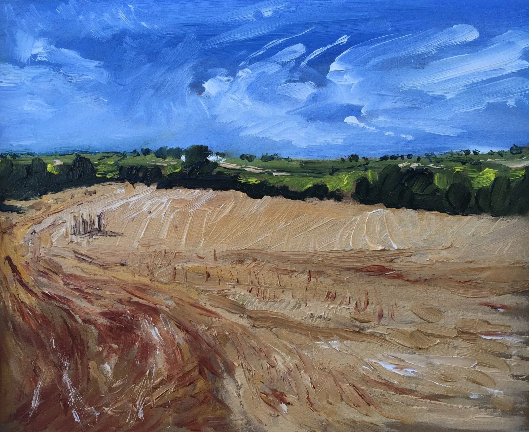 Sarah Wimperis van gogh landscape.jpg