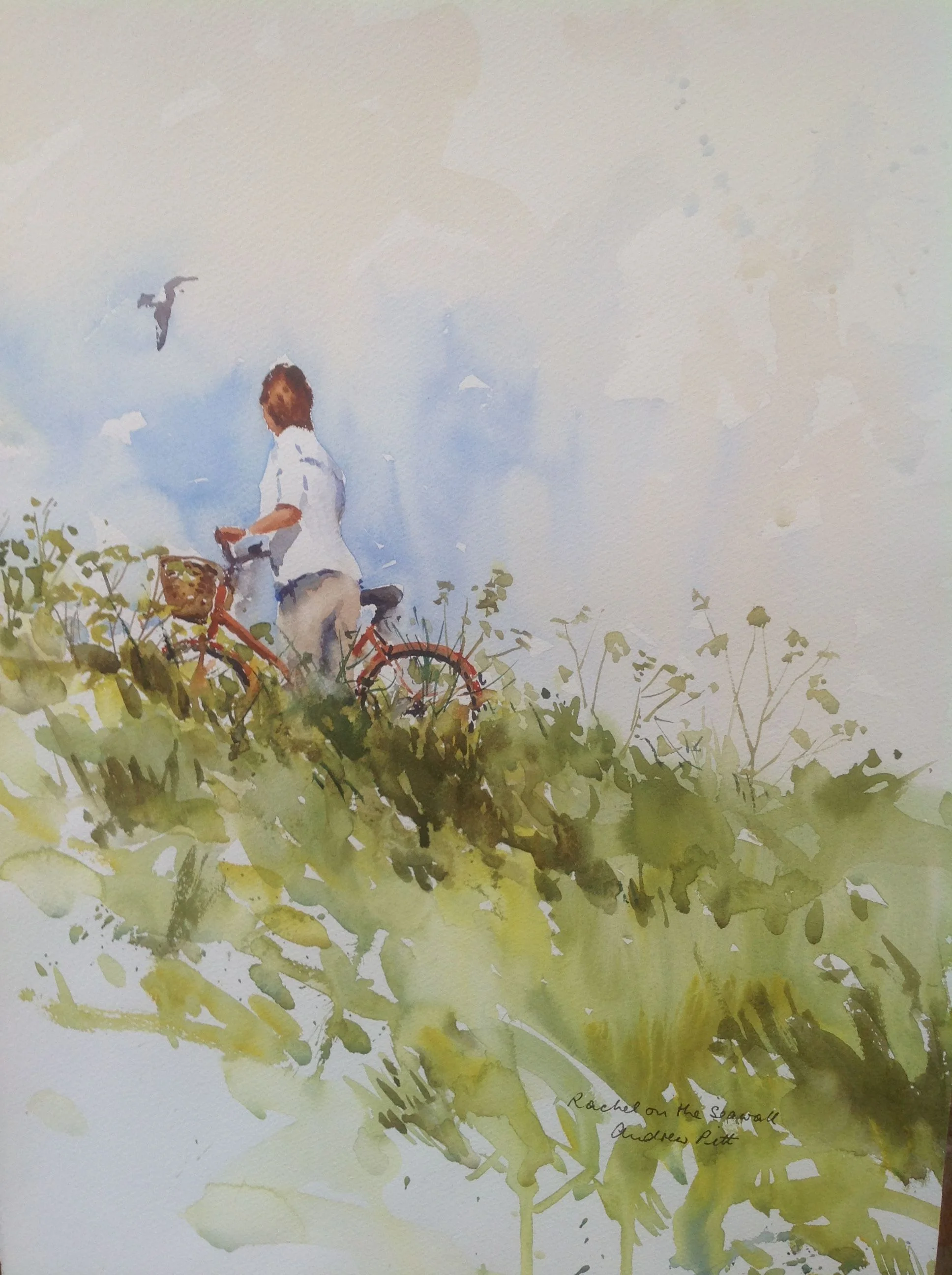 Andrew Pitt cyclist.jpg