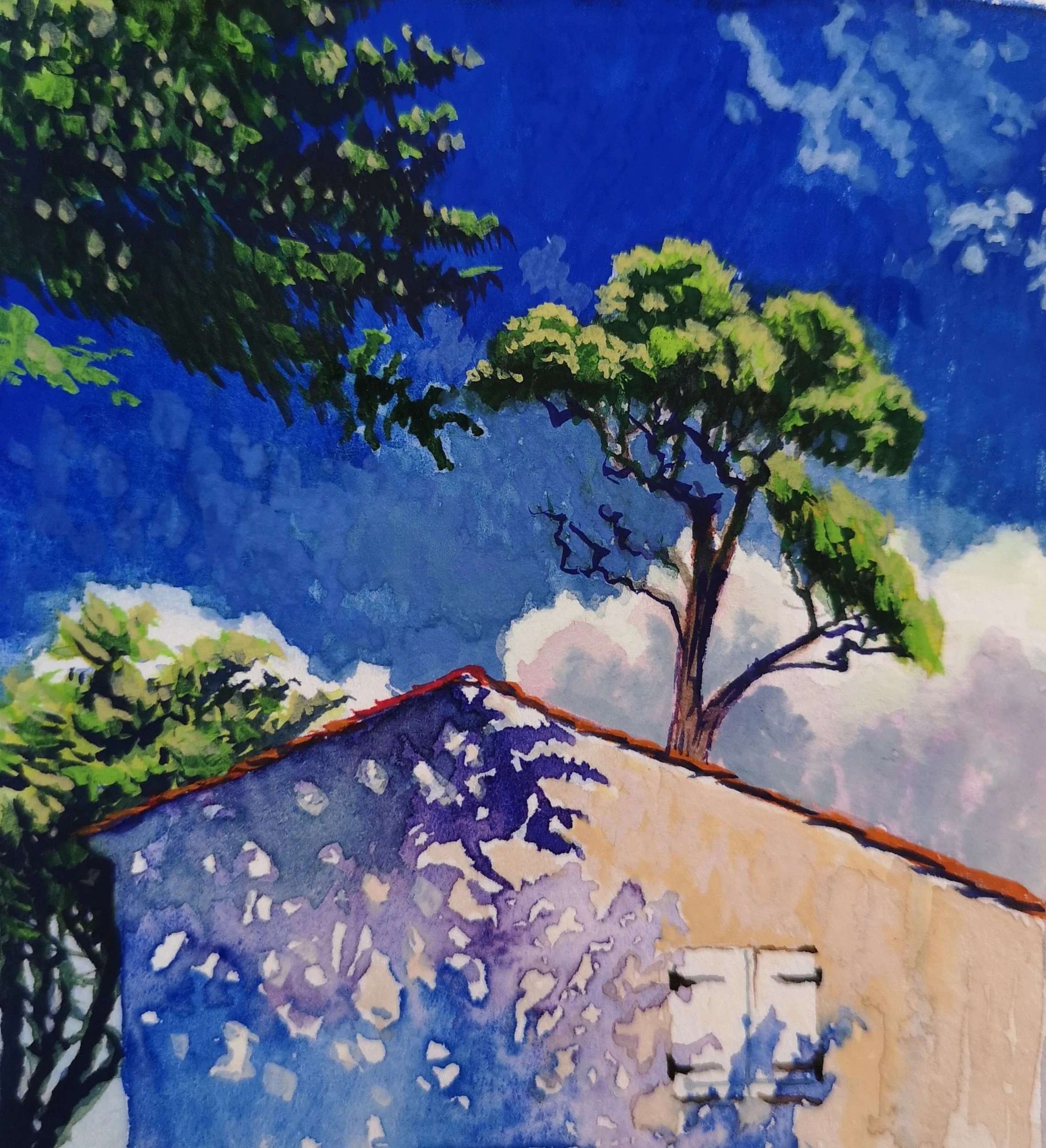 SW trees and sky.jpg