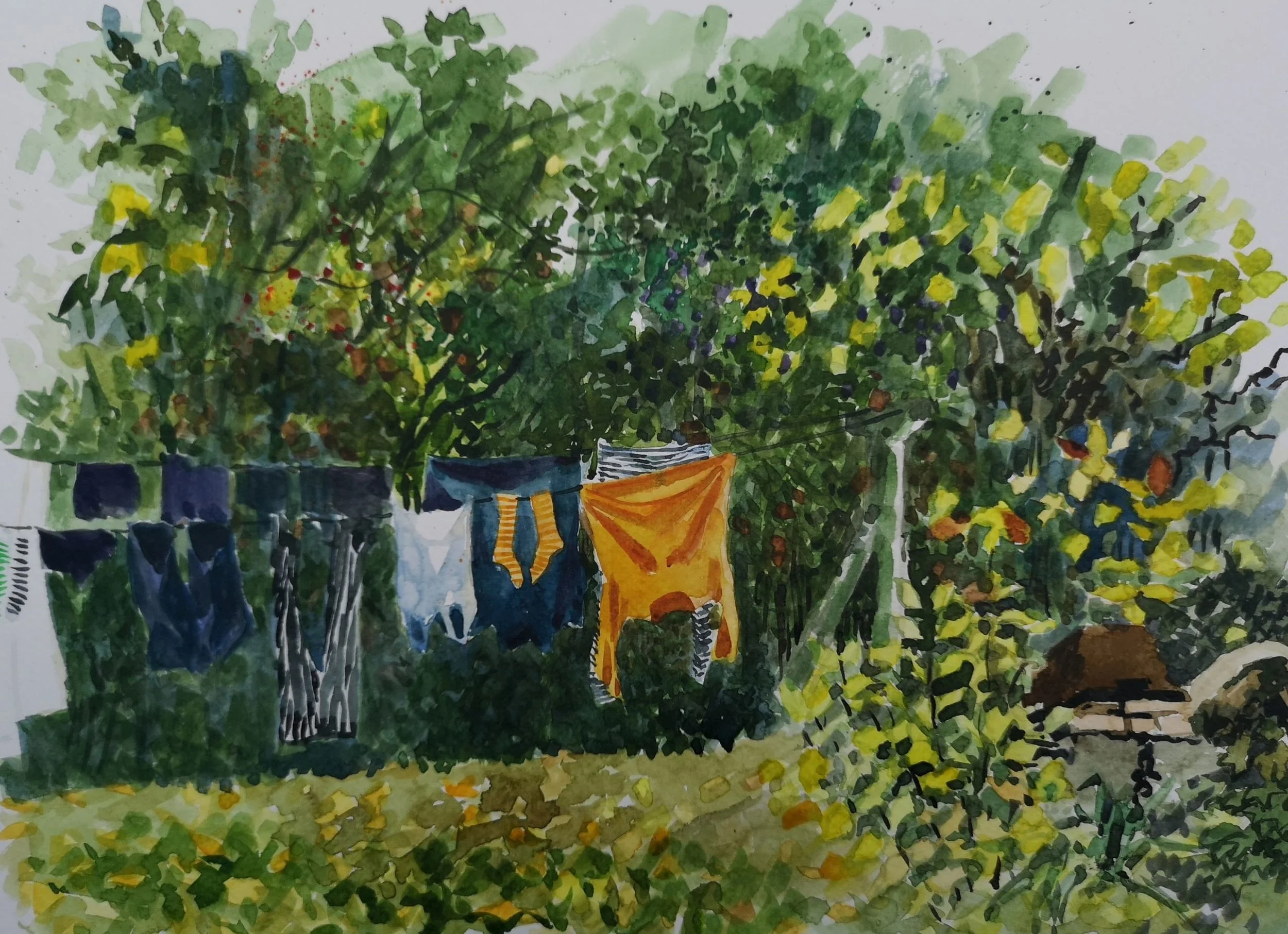 SW Washing on line.jpg