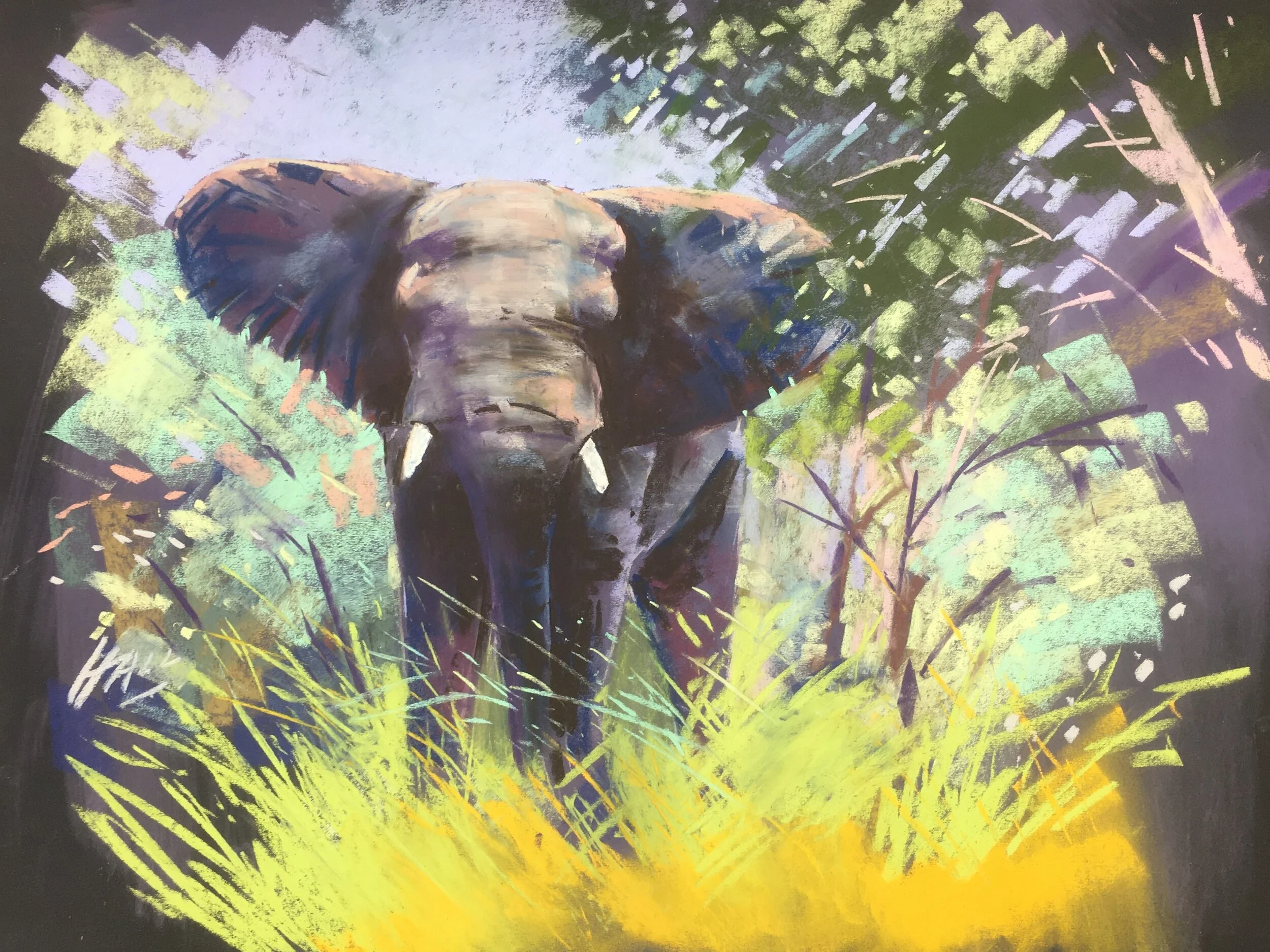 SH Elephant pastel.JPG