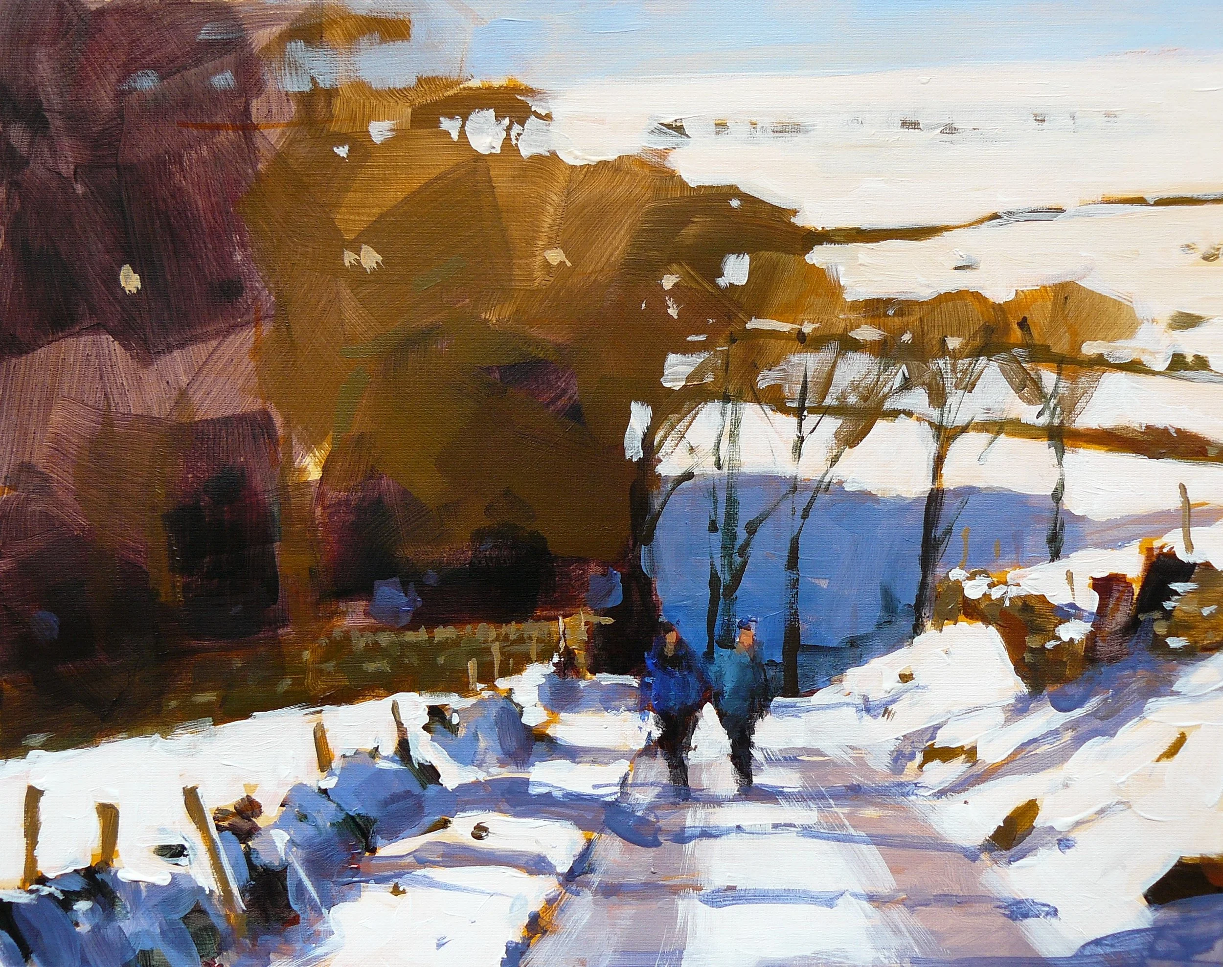 Afternoon shadows.JPG