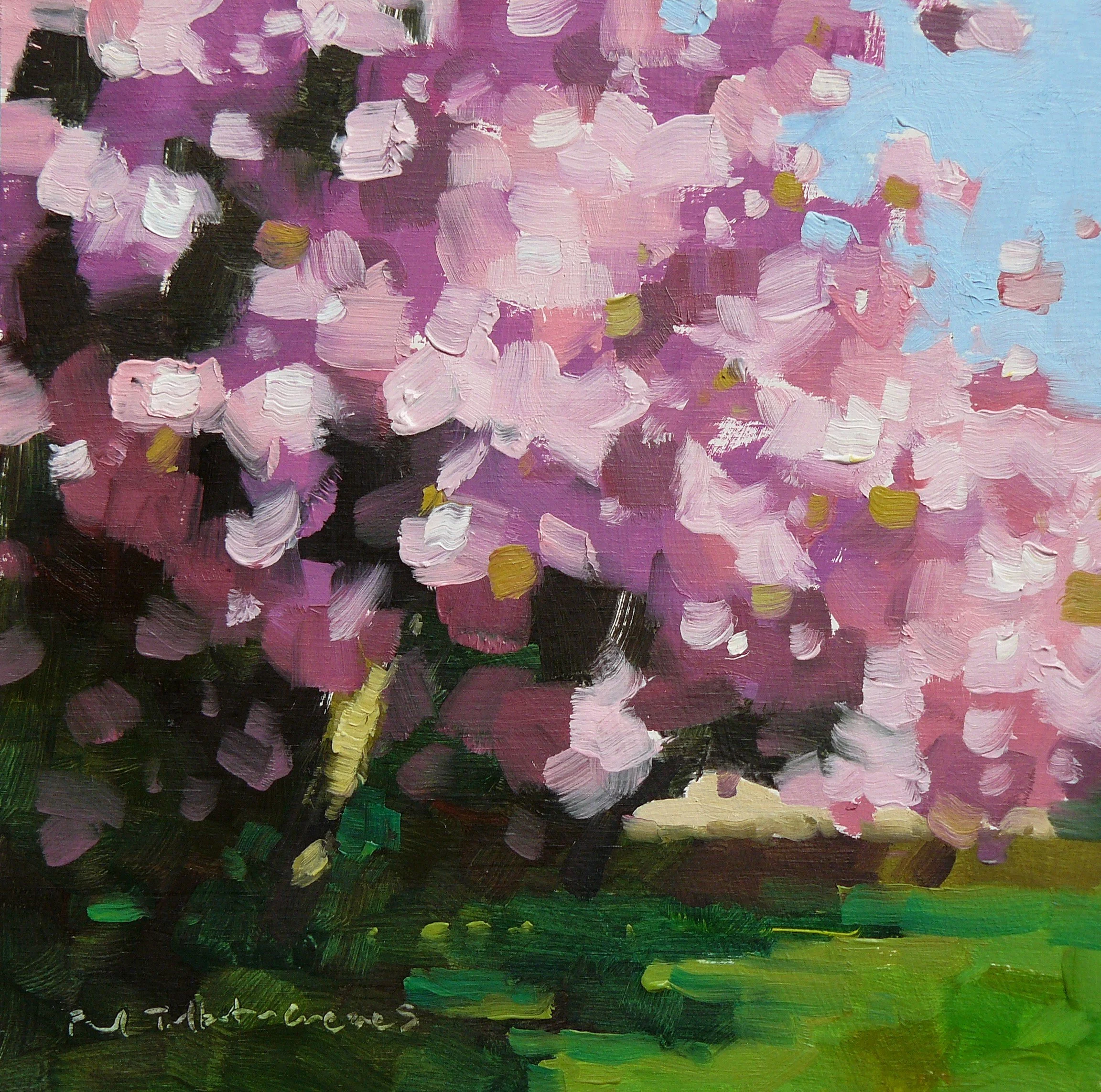 Cherry Blossom time.JPG