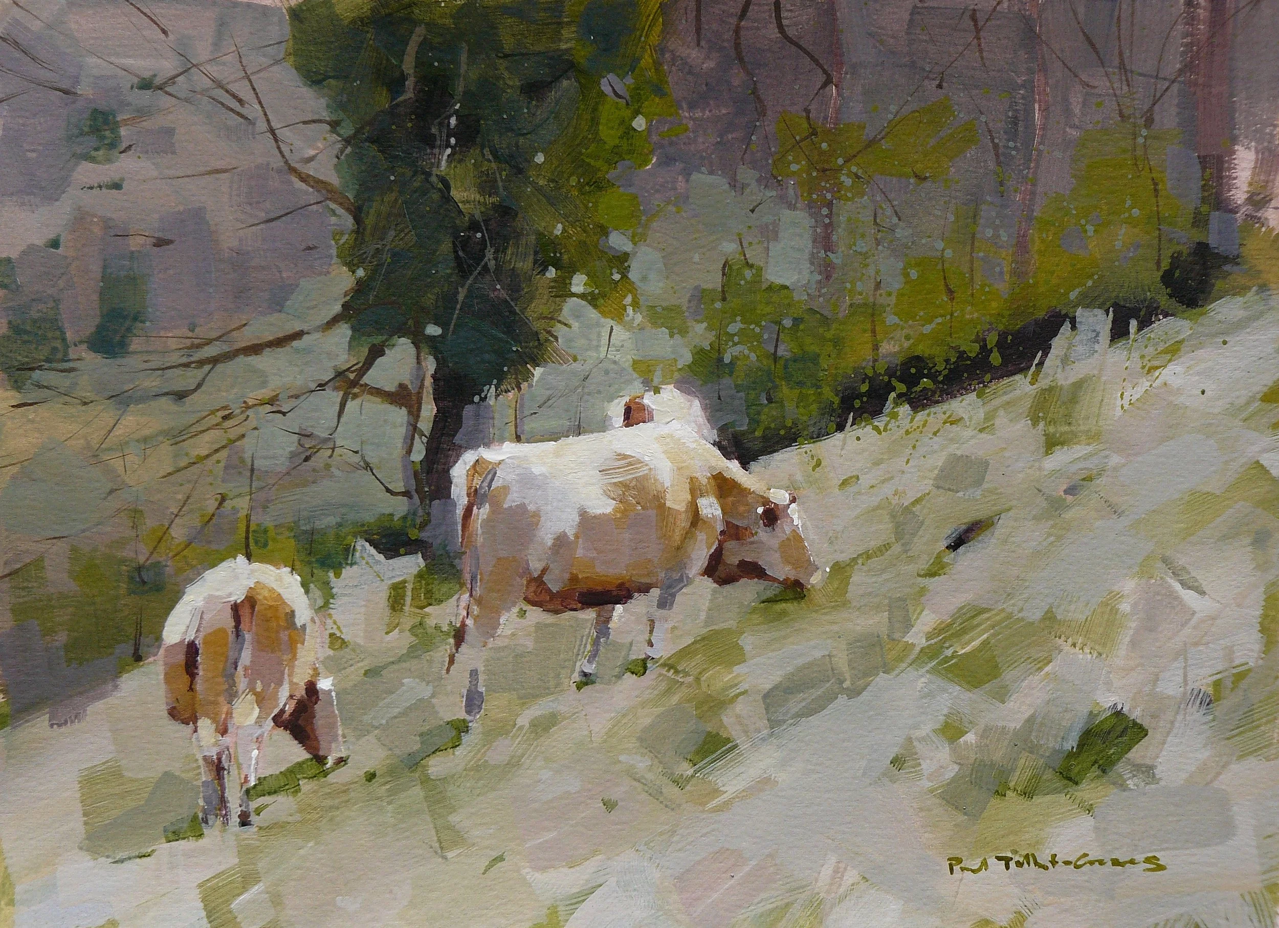 Early grass.JPG