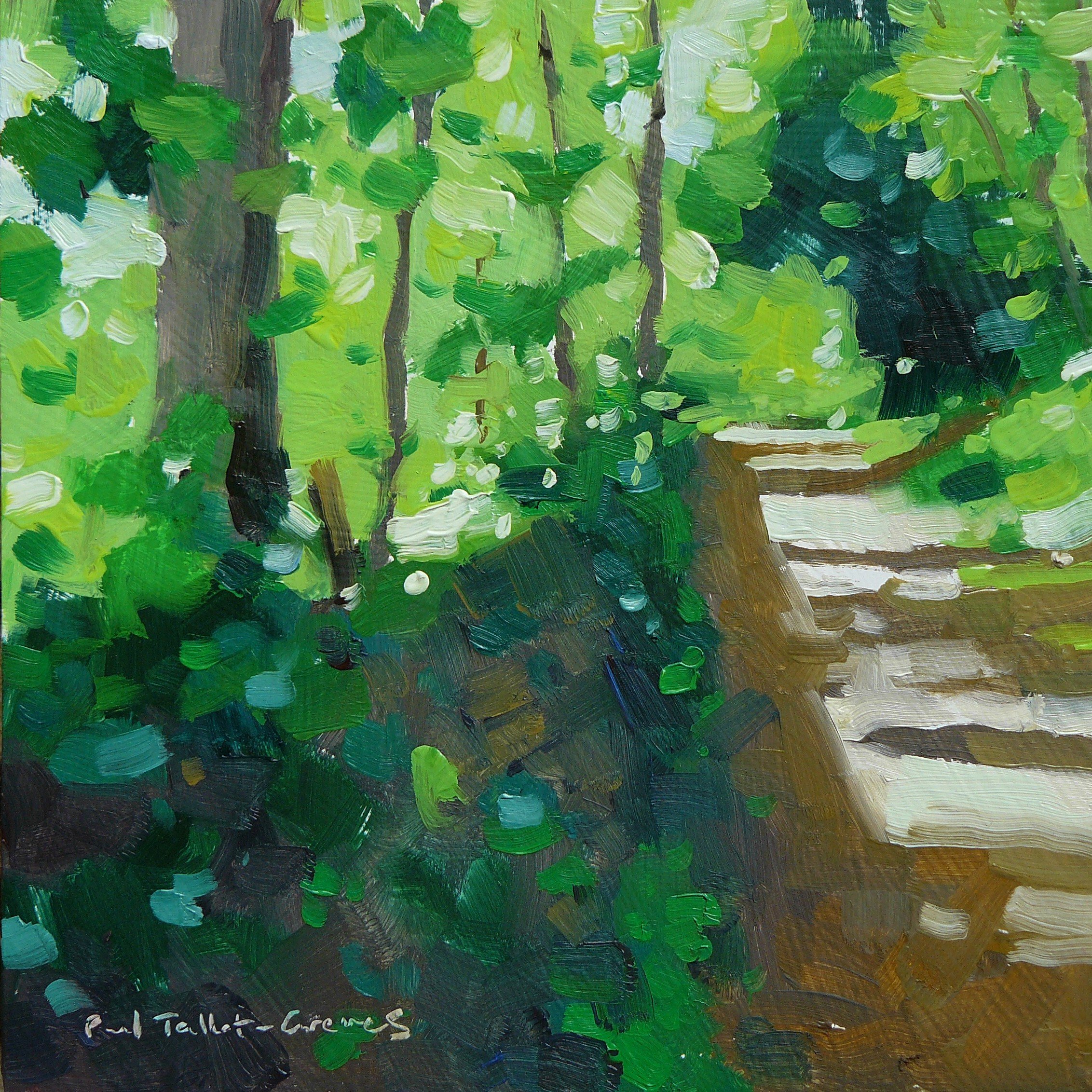 Green woods of springtime.JPG