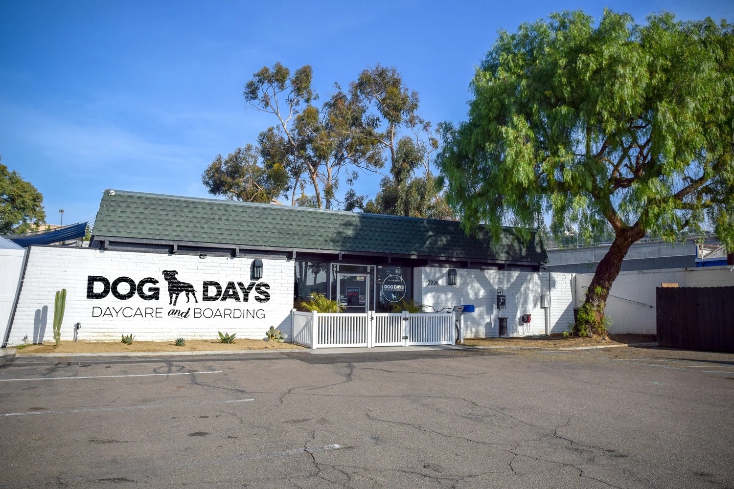 Dog Days Grooming: Transform Your Pup's Style Today!