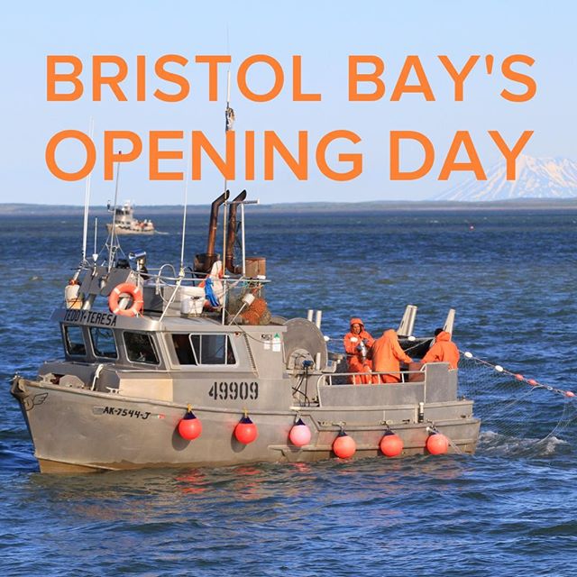 Today is Bristol Bay's opening day!⠀
Wishing all the fishermen up there a good season...⠀
May the salmon spirit be with you! 🐟🙌⠀
⠀
Save Wild with Eva's Wild - link in bio!⠀
⠀
#howdoyousavewhatyoulove #thewildfilm⠀
&bull;⁣⠀
&bull;⁣⠀
&bull;⁣⠀
&bull;⁣