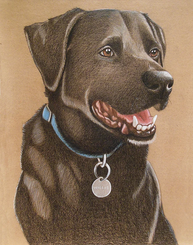 Willis