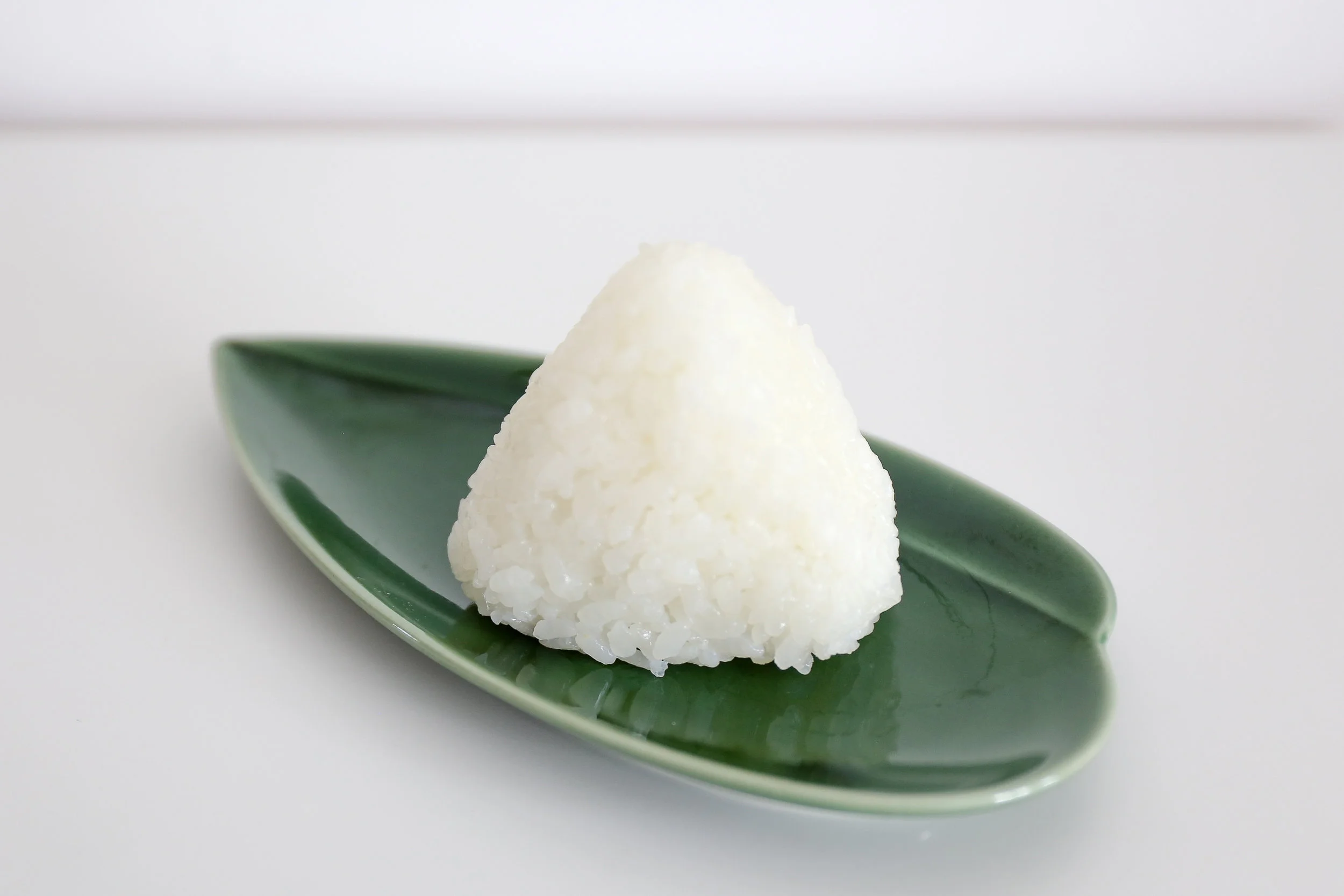 Super Ordinary Life Onigiri.jpg
