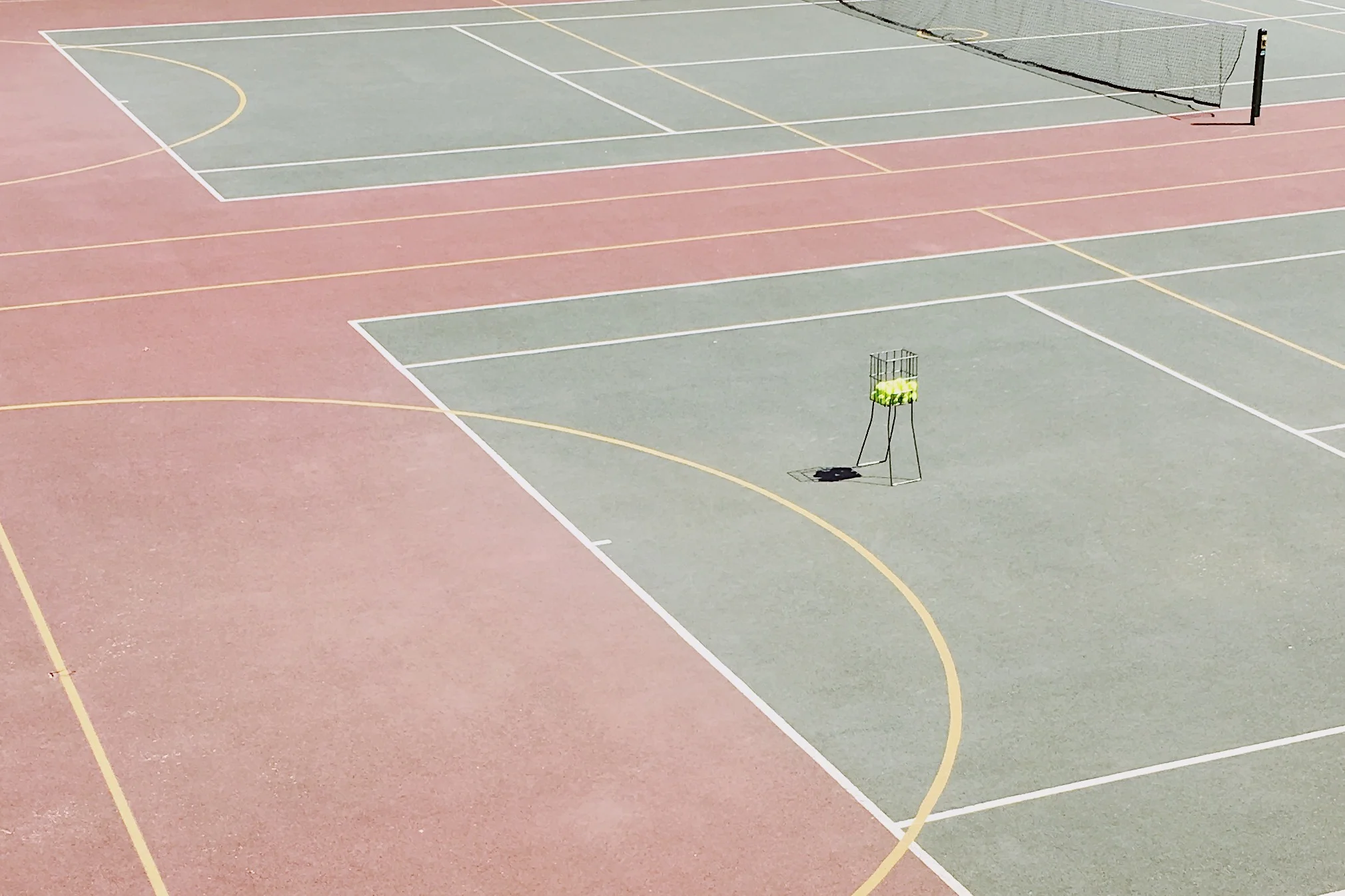 Notice More: Court Lines