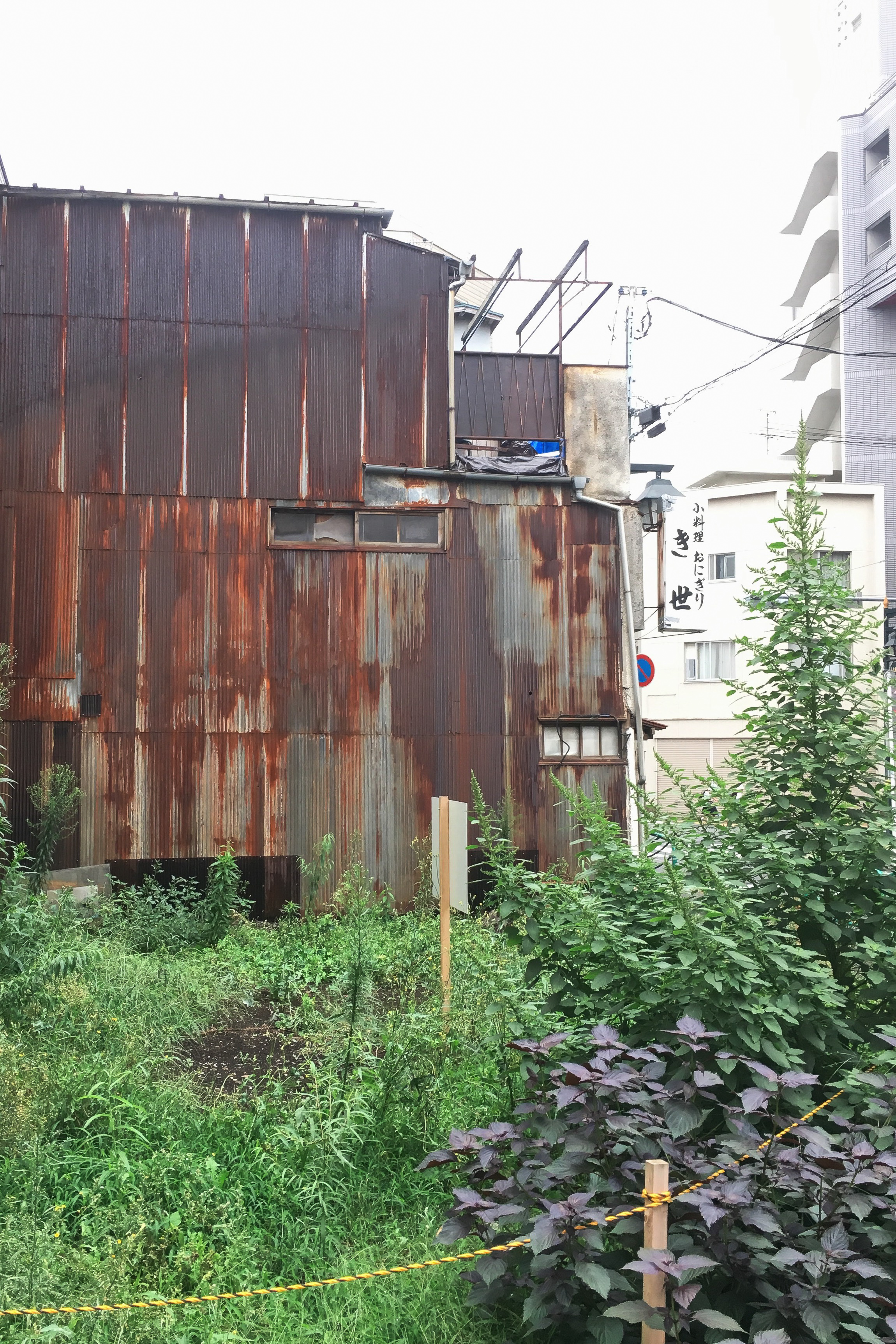 Paranormal totan. Location: Kichijoji, Tokyo