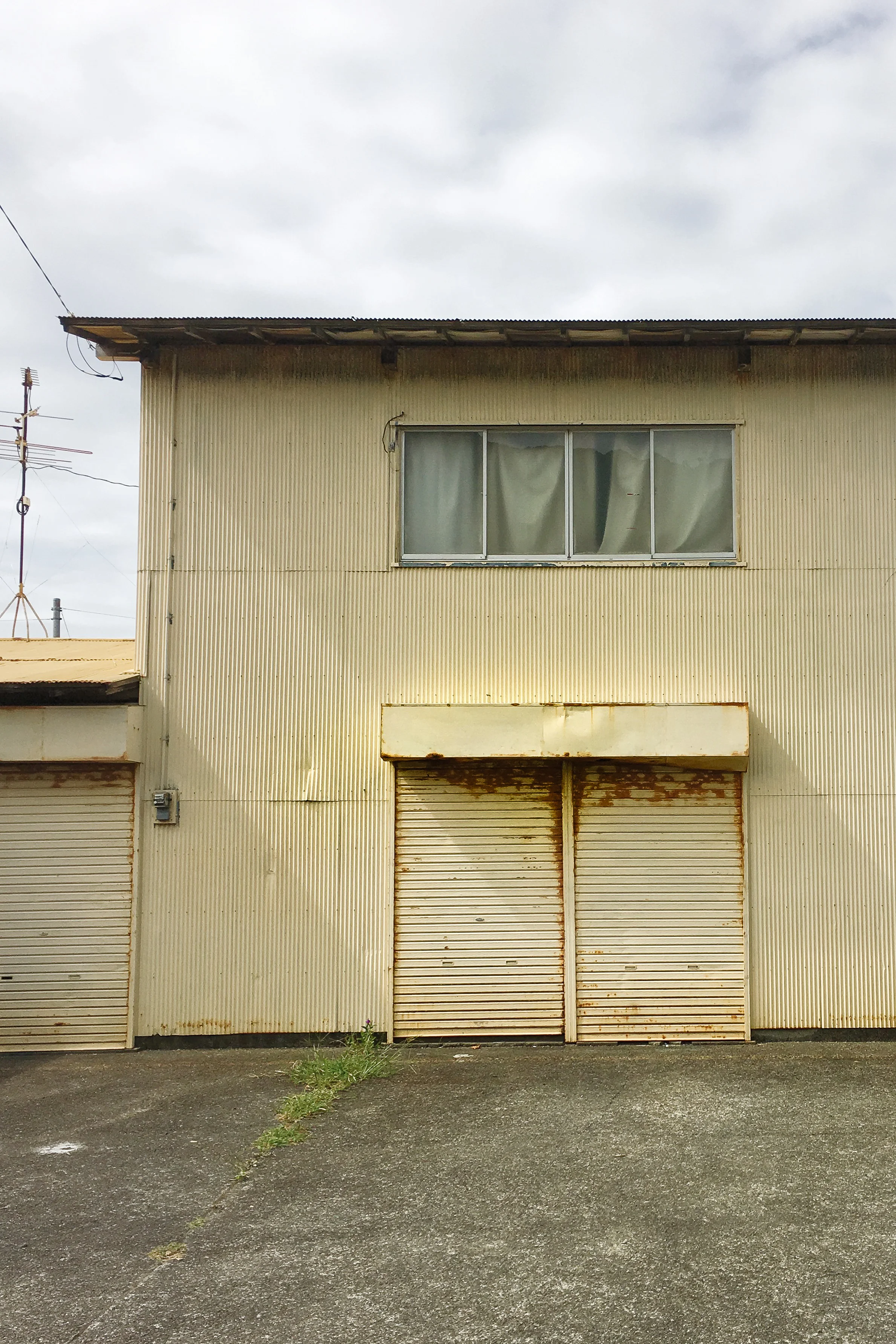 Location: Matsuzaki, Shizuoka