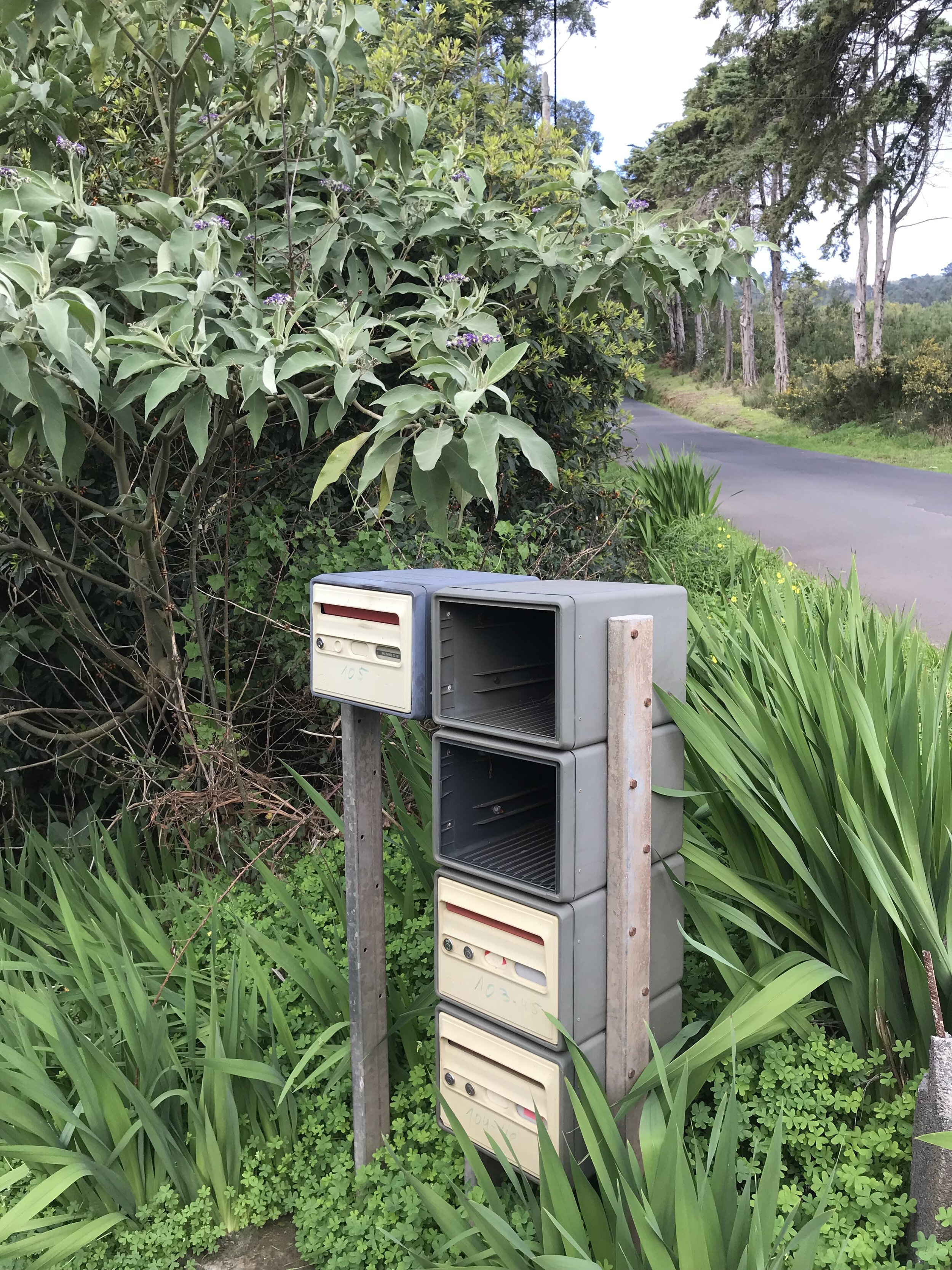 Source : https://www.instagram.com/herslowerlife Location: Madeira