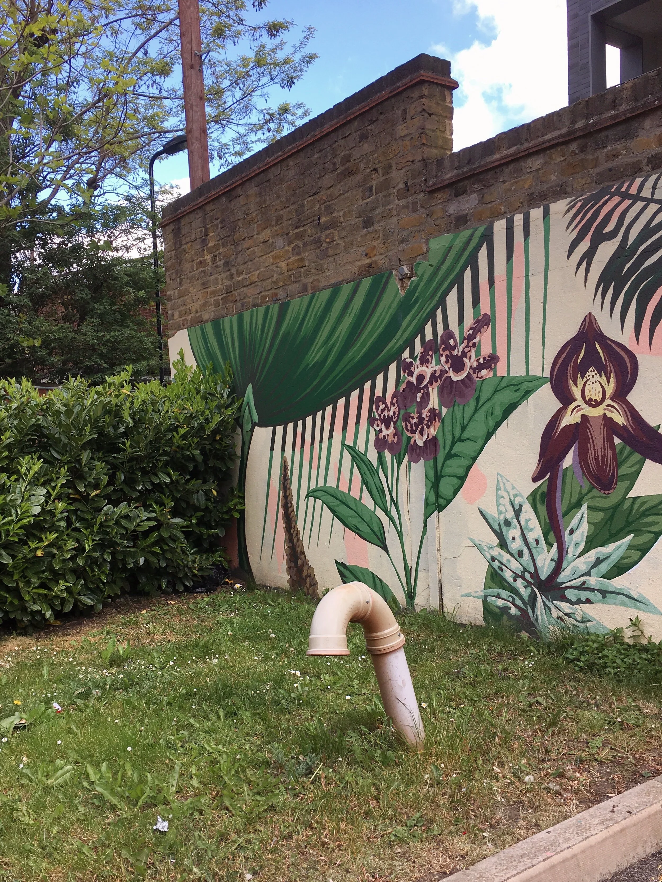 Noticing More: Thomassons