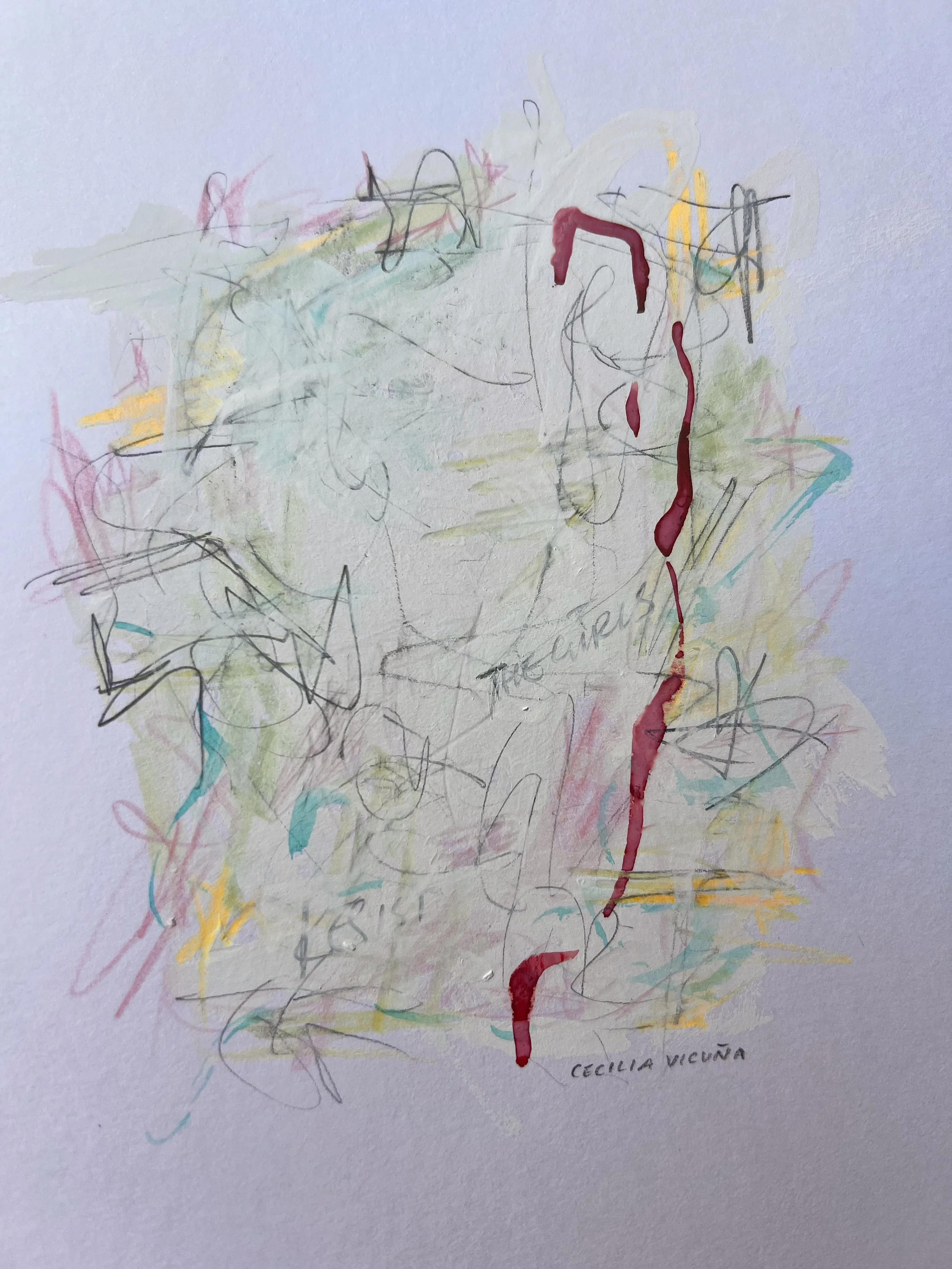 "Cecilia Vicuña" - voice sketch