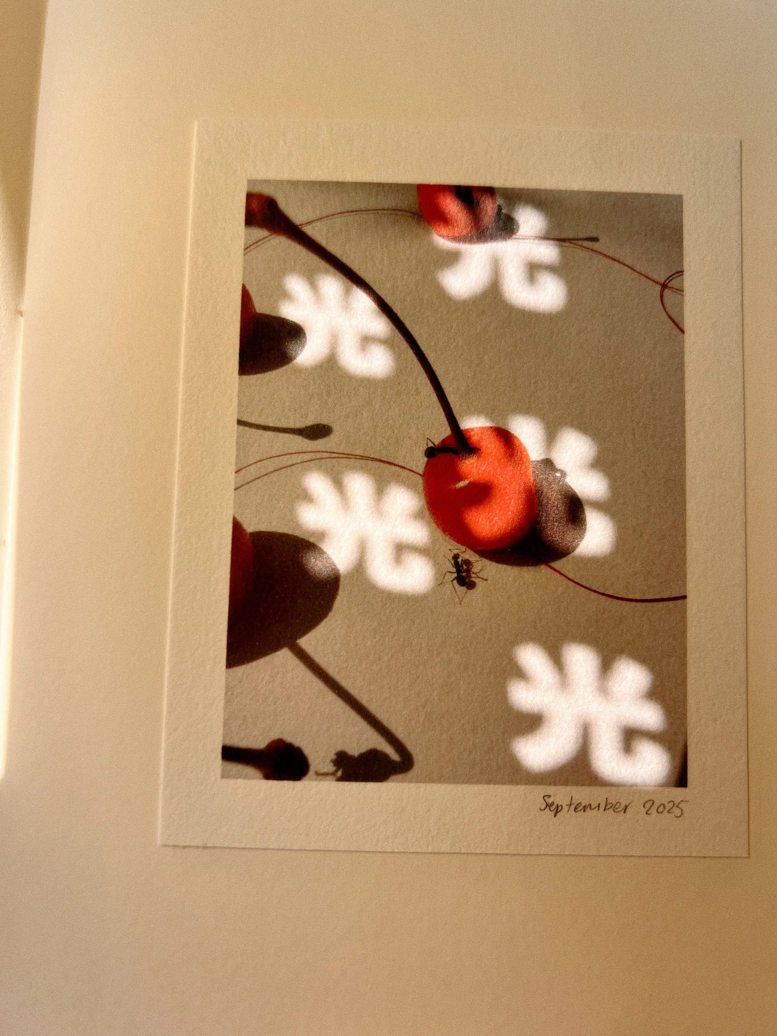 6B6F171B-57DD-4613-87DC-48D64F1C54EE.JPG (Copy)