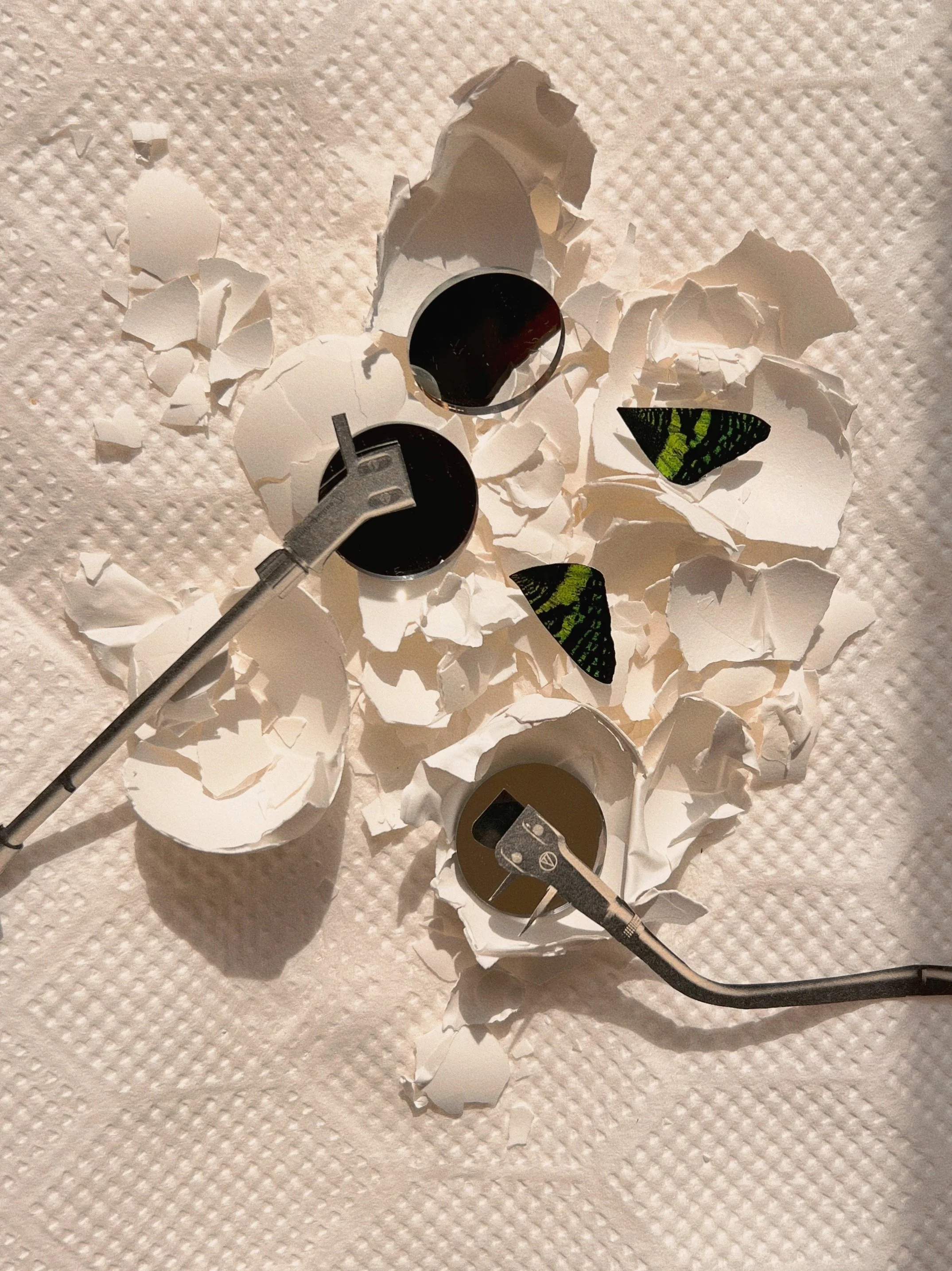 Yasumi  Toyoda makes an analog  Collage with  turntable arms and real eggshells