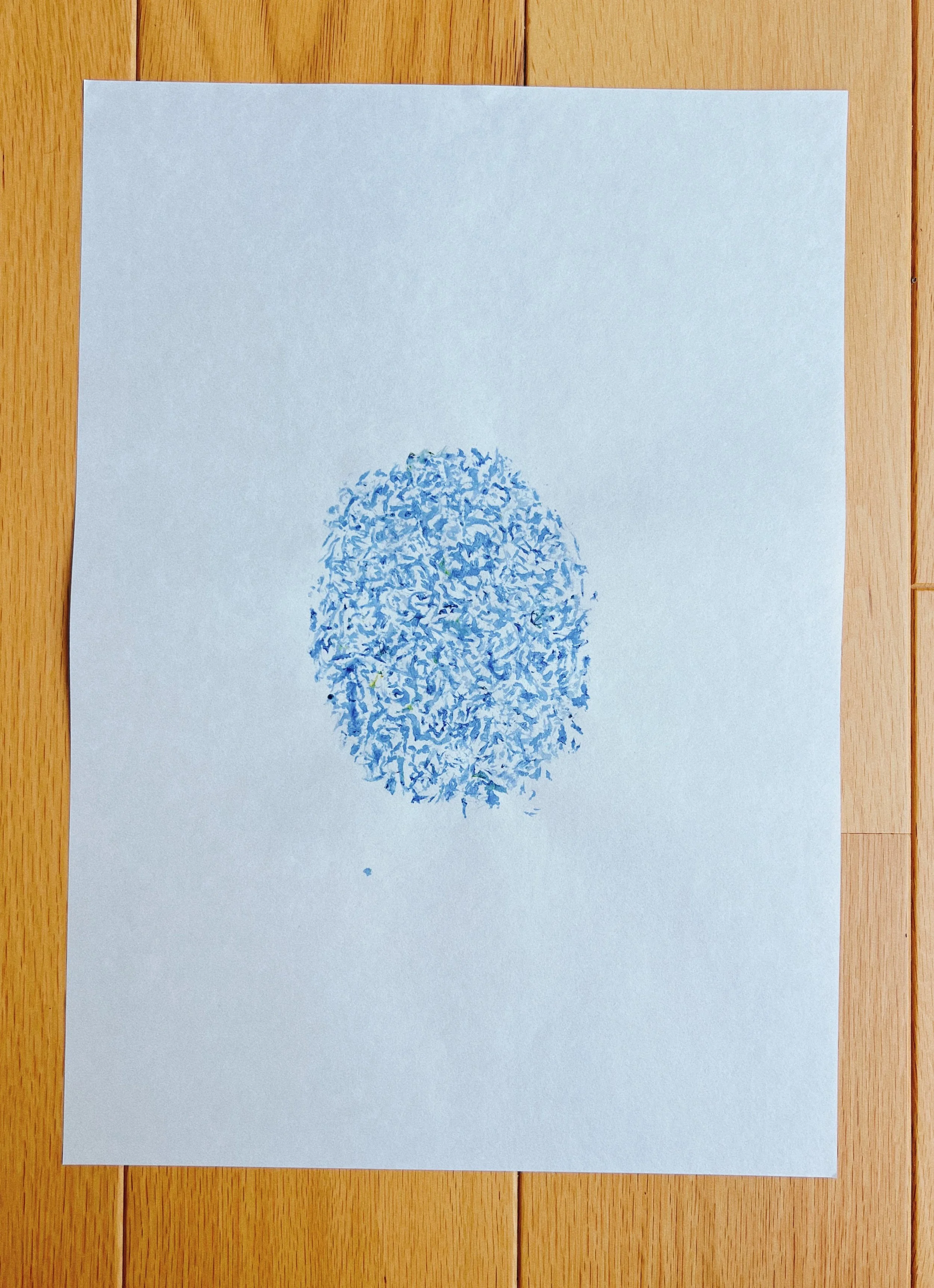 57542ADE-BB3A-49BA-B6BA-BCBA1DF992CC.JPG