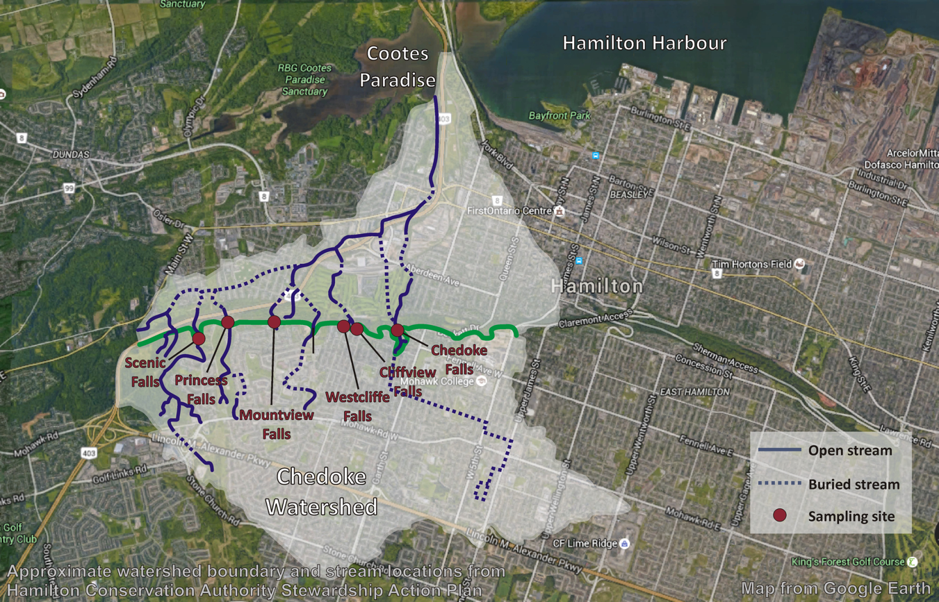Chedoke Watershed