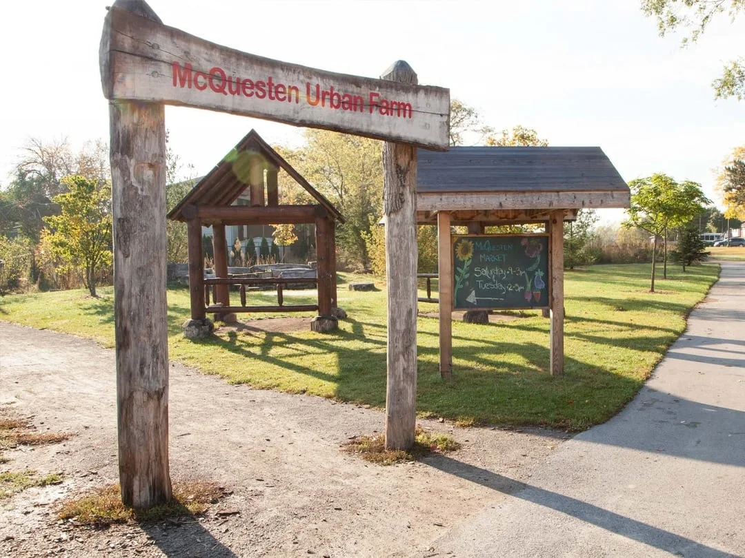 Growing Bridges: Improving Regional Food Security by Increasing Engagement at the McQuesten Urban Farm