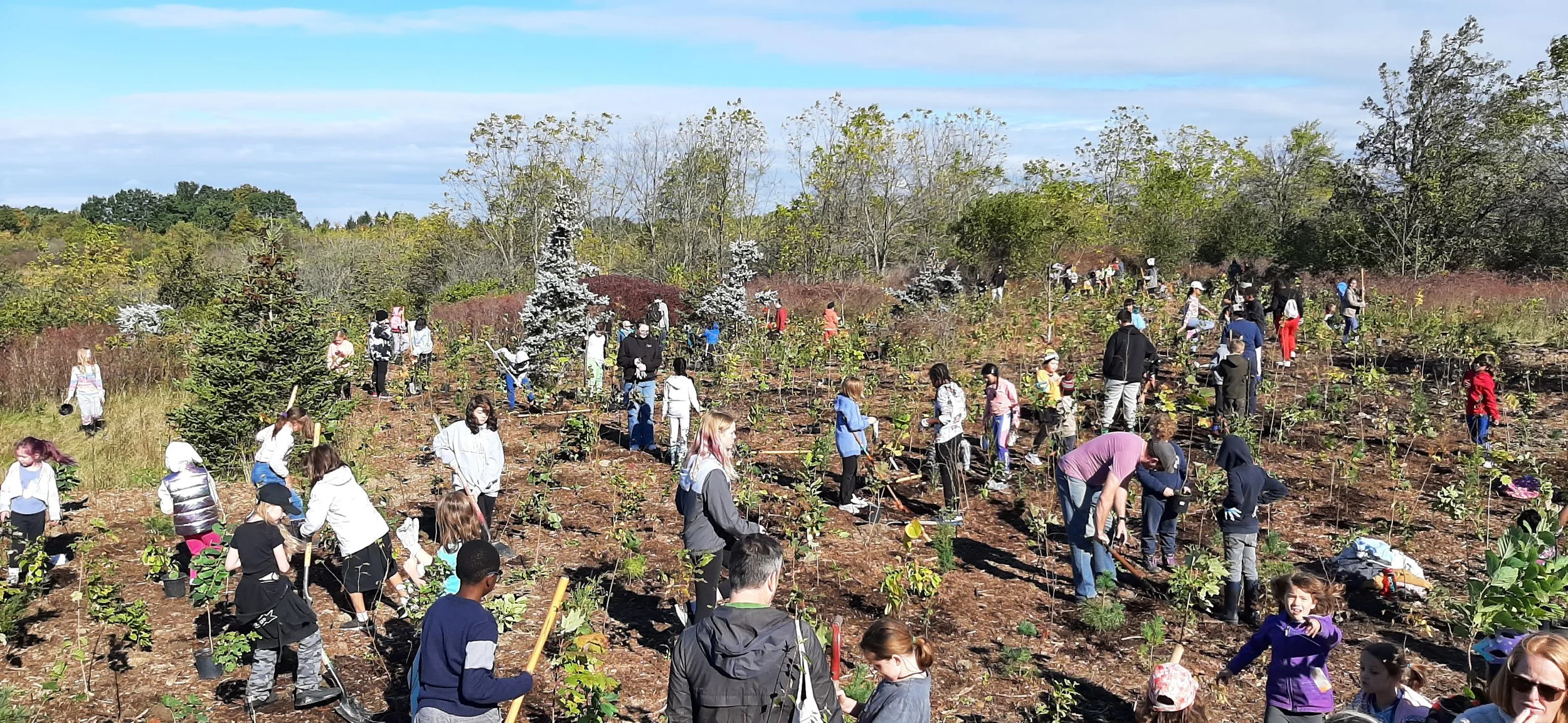 Open for Matching: Hamilton‘s Tree Planting Atlas