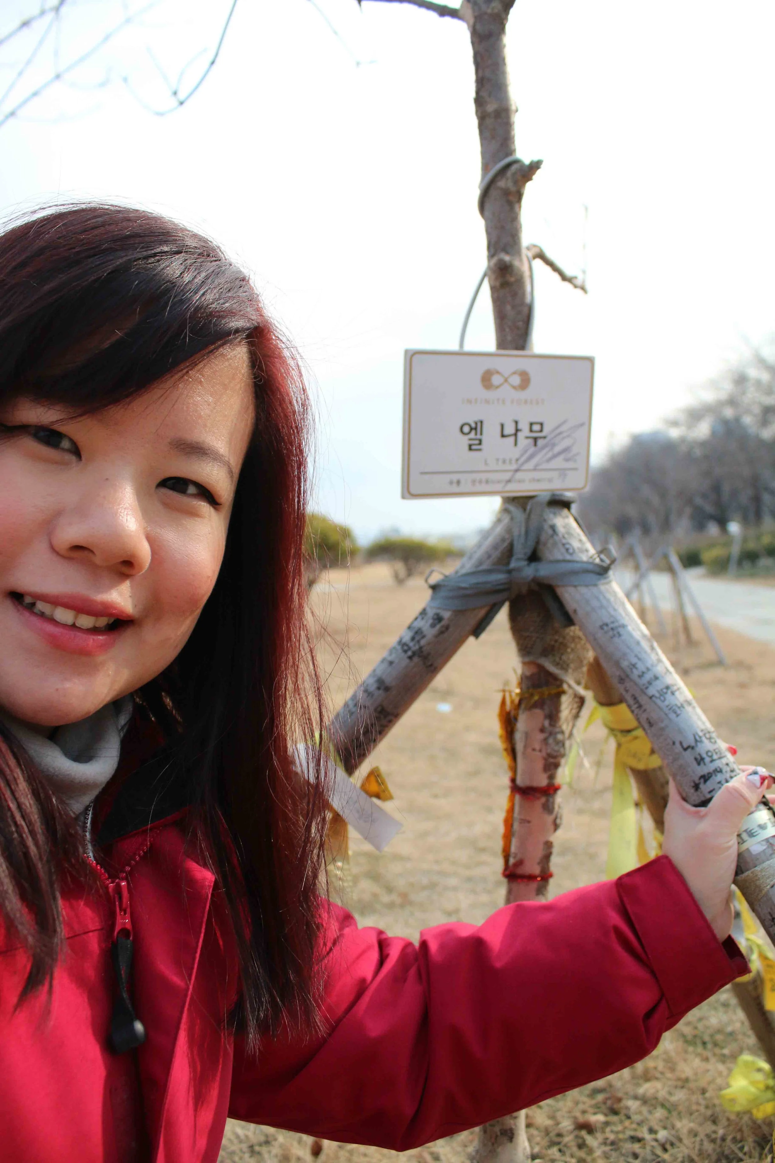 Korea Travelogue: Day 9 - Infinite Forest/Yeouido Hangang Park