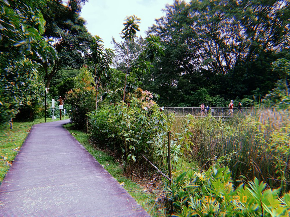 2020-07-31 12:07:48.107.JPG