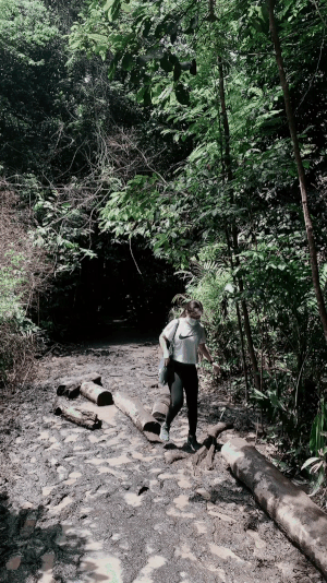 ezgif.com-resize (2).gif