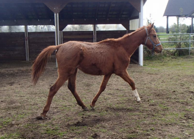 Milo shortly after being seized
