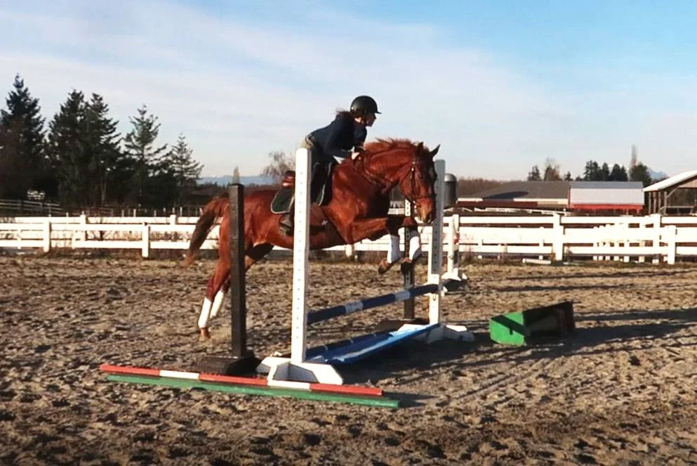 Archie's first jump school.