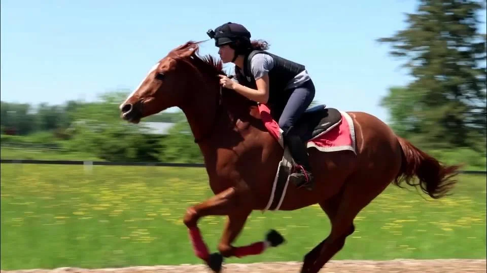 Galloping 45km/h bridleless.