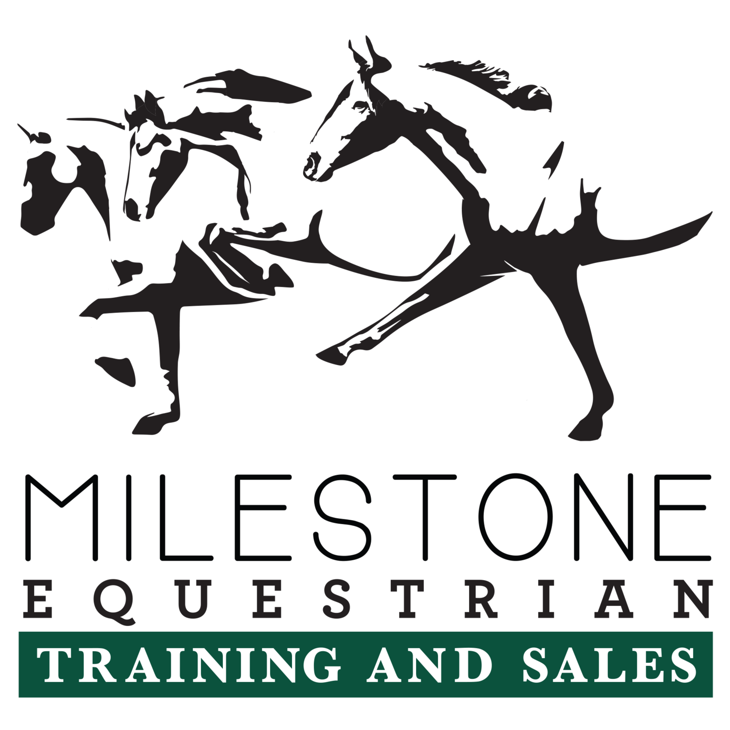 Milestone Equestrian