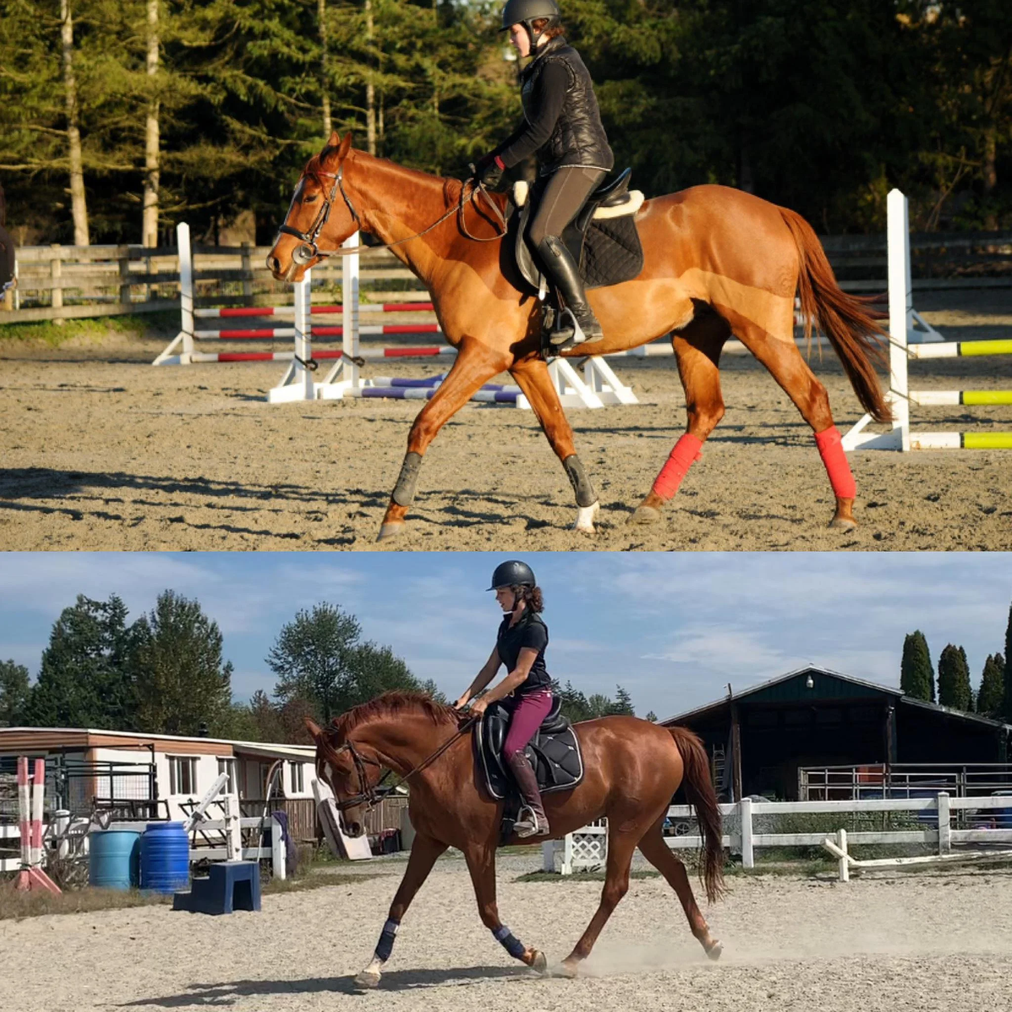 2015-2019