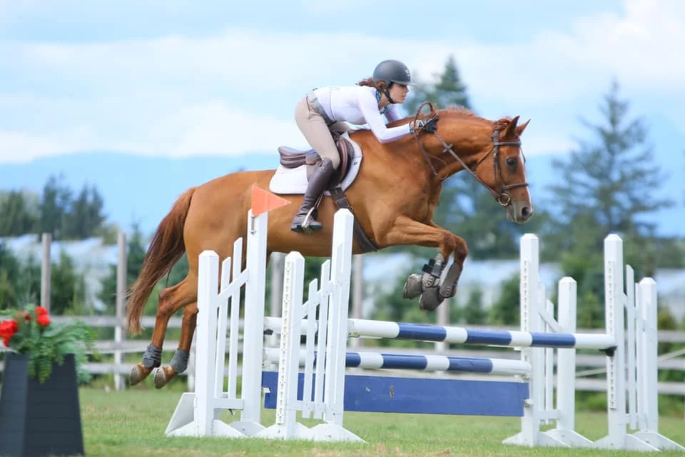 July 2019 in the .90m ring