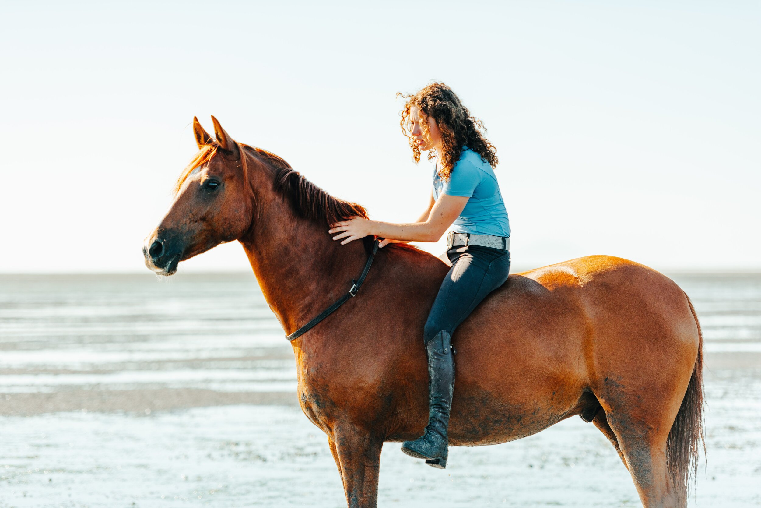 The Horse World's Cognitive Dissonance 