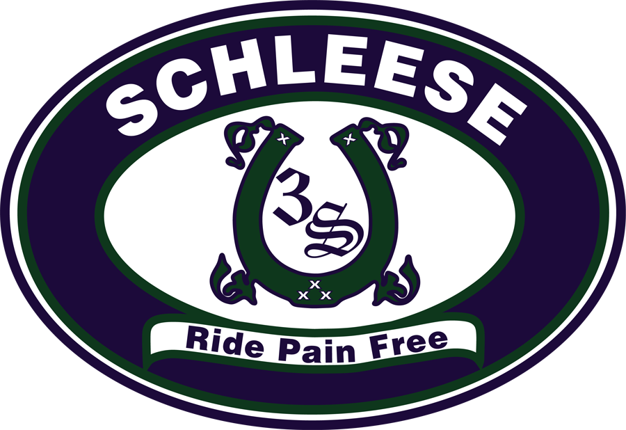 Schleese-logo-RGB-300dpi-Web.png